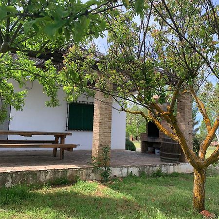 Gran Casa, Lagunas De Ruidera, Bbq, Porche, Chimenea 外观 照片