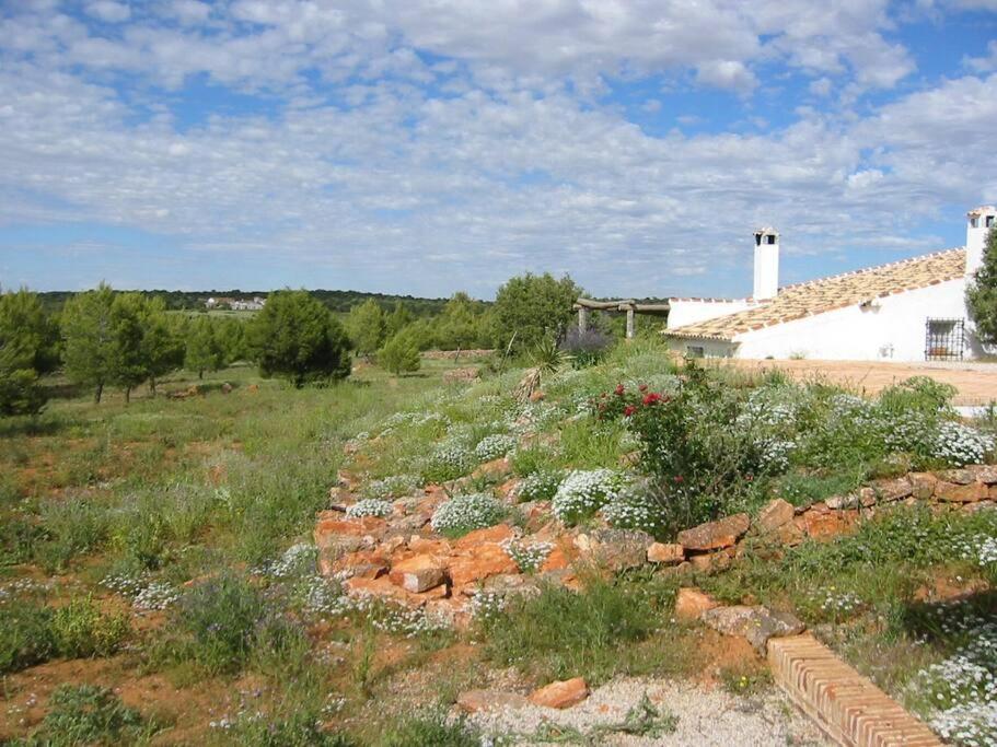 Gran Casa, Lagunas De Ruidera, Bbq, Porche, Chimenea 外观 照片