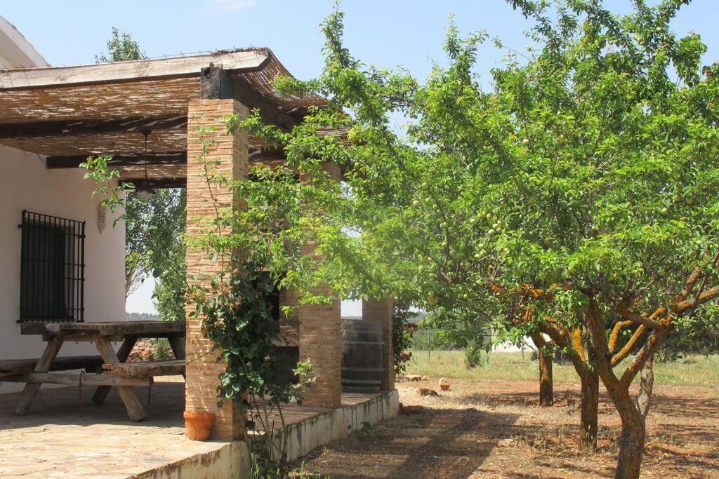 Gran Casa, Lagunas De Ruidera, Bbq, Porche, Chimenea 外观 照片